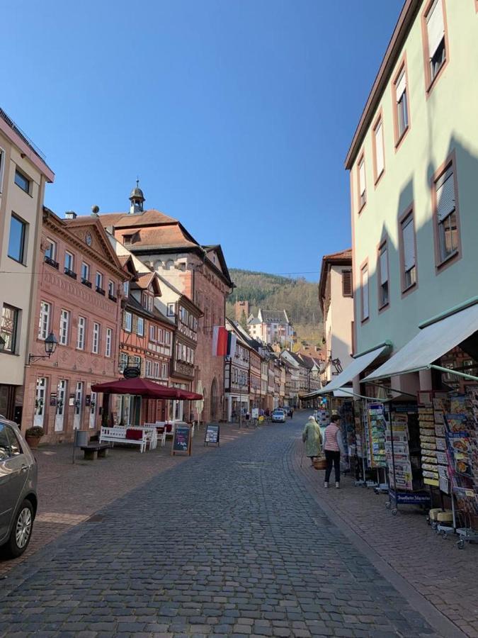 Ferienwohnung Am Brunnen Großheubach Eksteriør billede