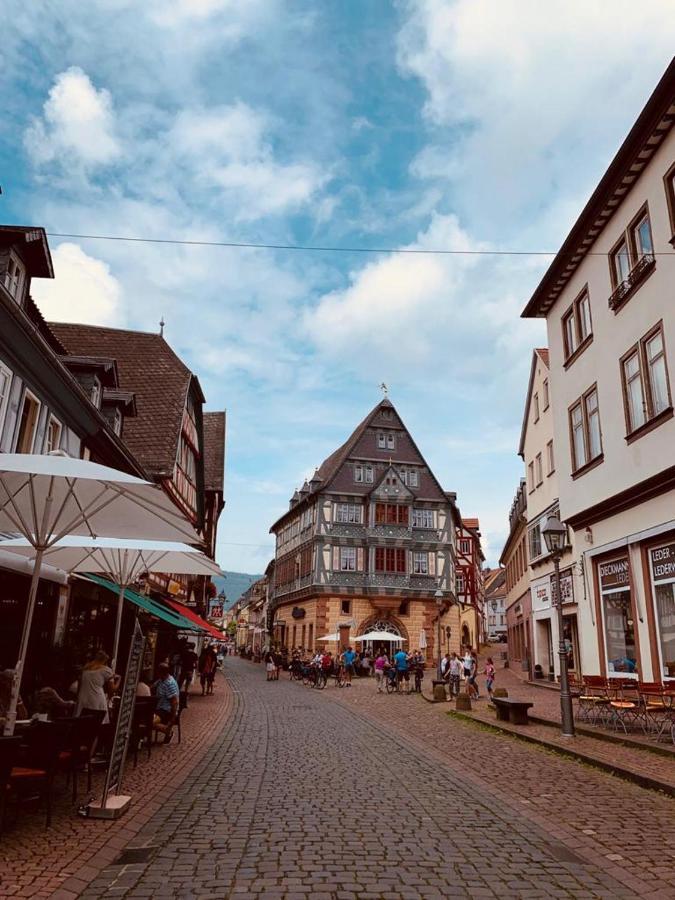 Ferienwohnung Am Brunnen Großheubach Eksteriør billede